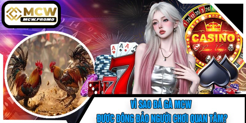 Vì Sao Đá Gà MCW Được Đông Đảo Người Chơi Quan Tâm?